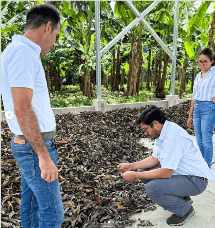 ASOPLATAL Drying Plant